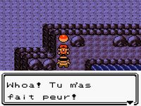 une photo d'Ã©cran de Pokemon Or sur Nintendo Game Boy Color